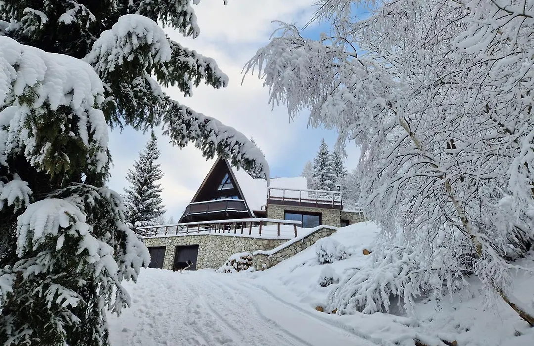 le chalet pointu de capucine-1