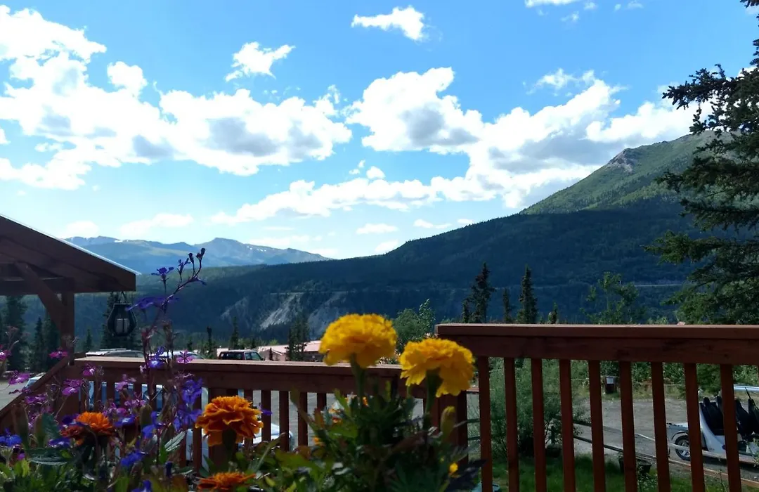 Denali Crow'S Nest Cabins-1