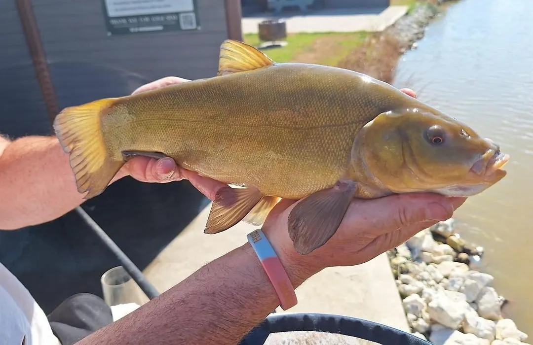 Lakeside Fishing Retreats-1
