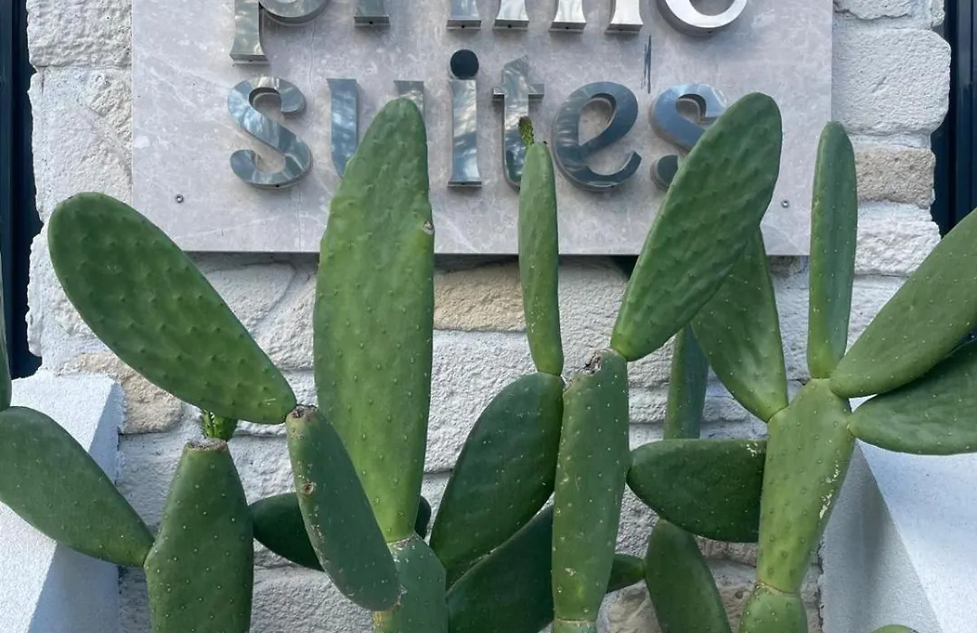 Prime Suites-1