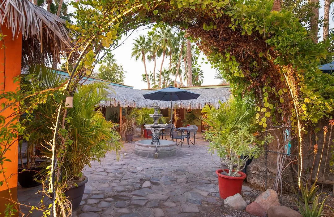 Iguana Inn-1