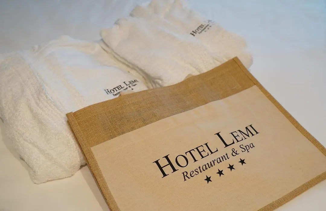 Hotel Lemi-1