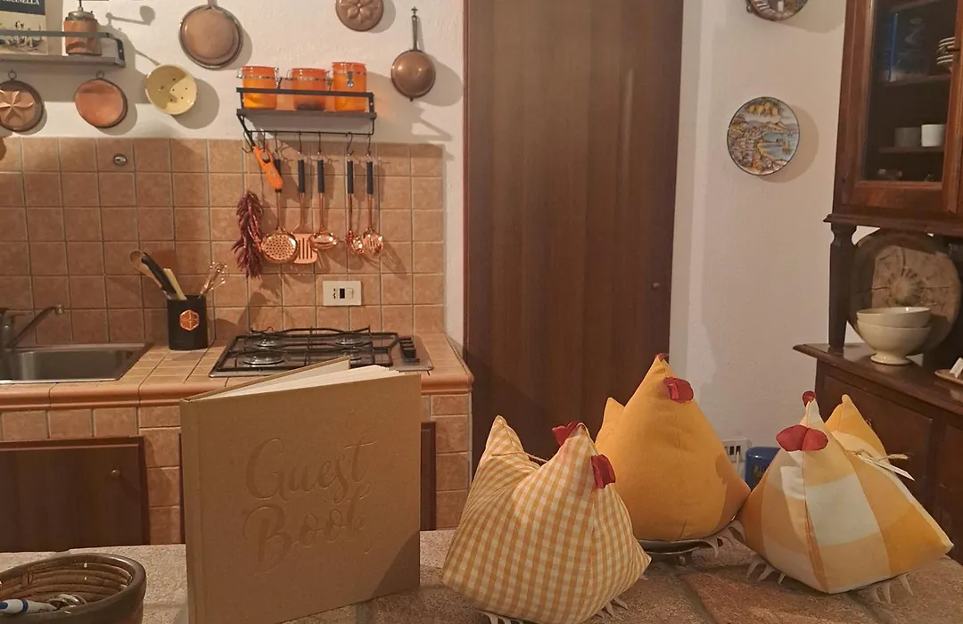 Casa Dodo-1