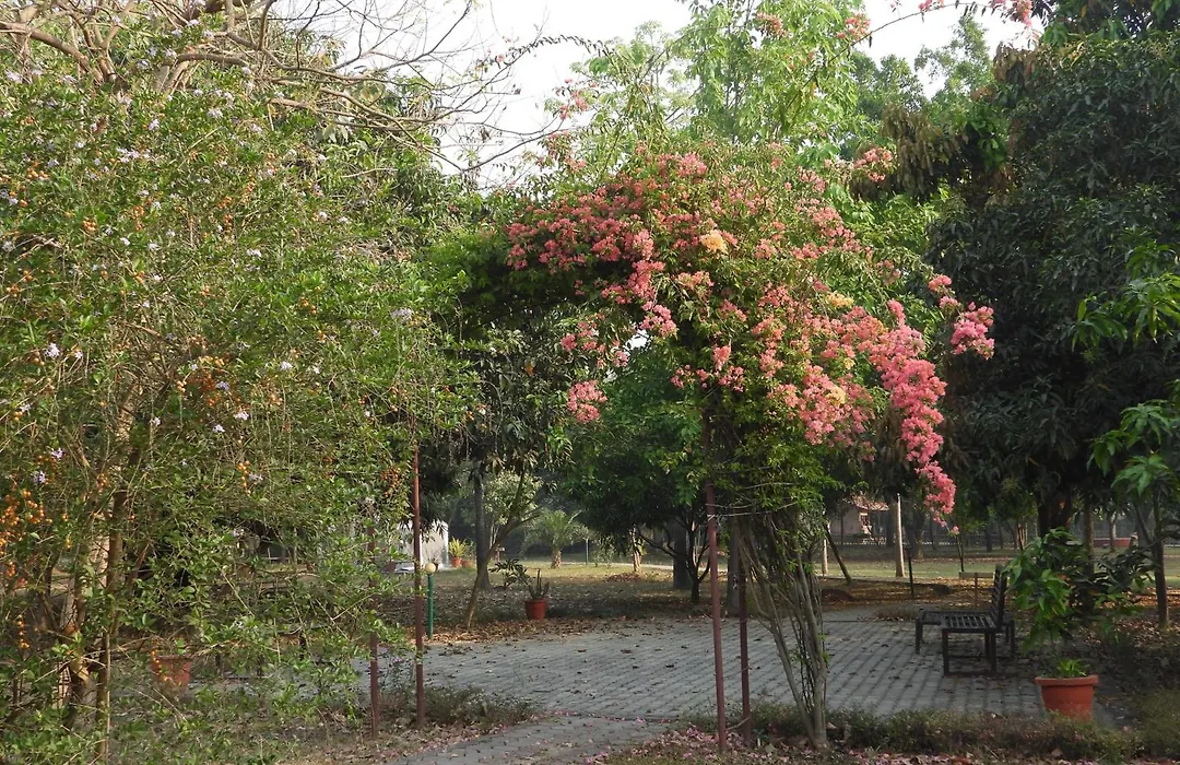 Lumbini Buddha Garden Resort-1