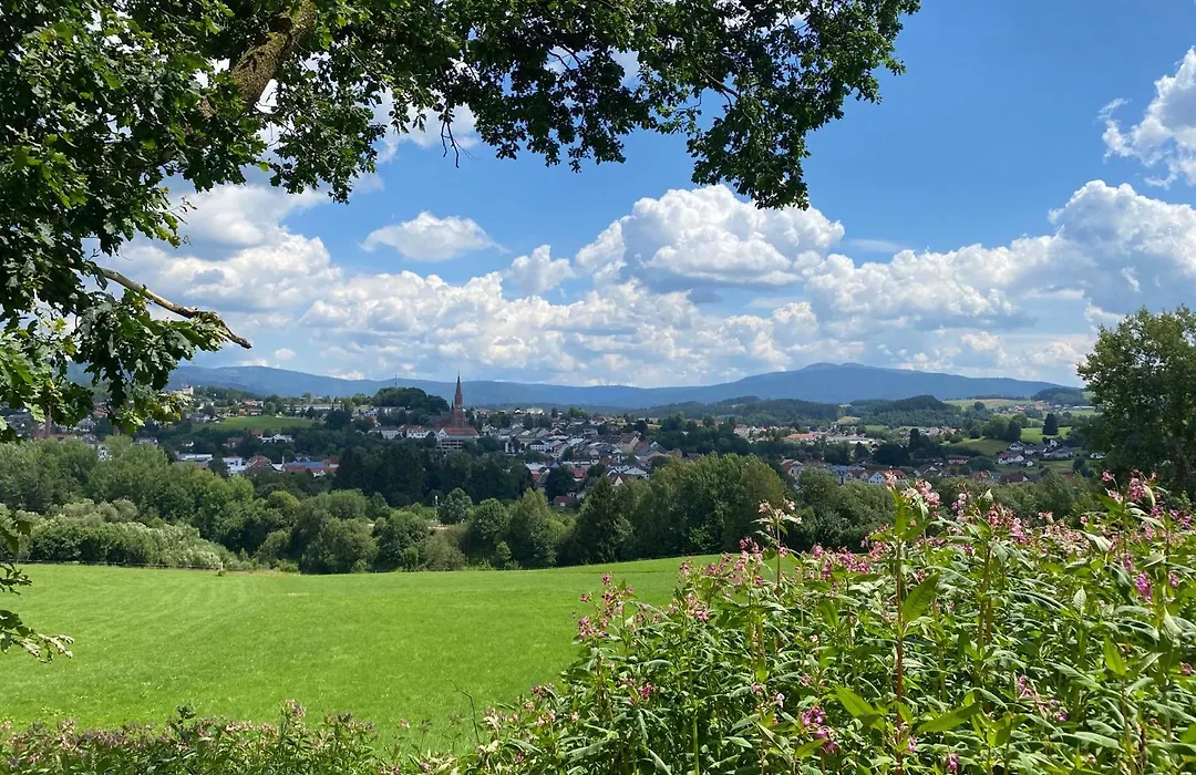 Hotel Sonnenhof 3-1