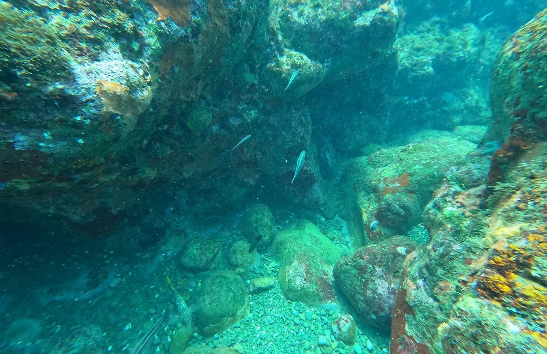 Hotel Bahia Aguacate-1