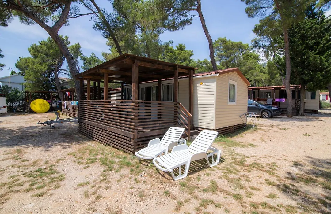 Camp Sibuljina-1