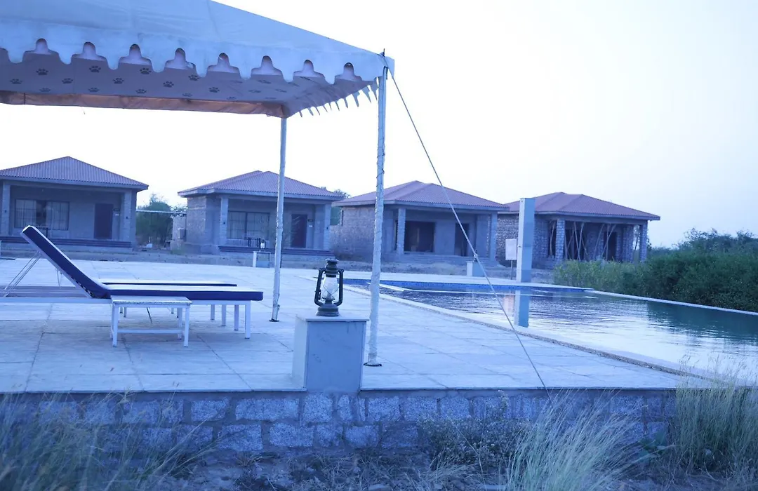 Jawai Bera Leopard Camp-1