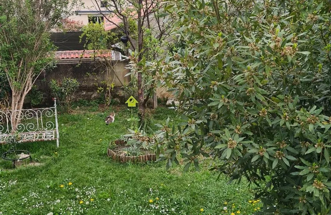 Villa Pierre-1