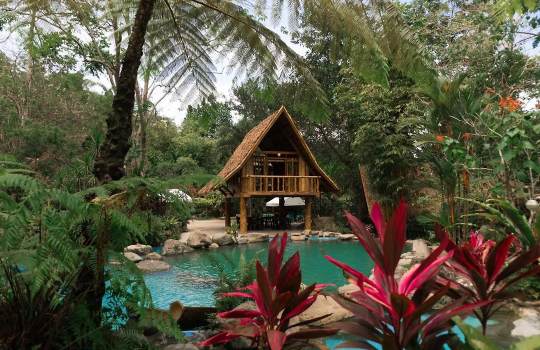 Forest Camp-1