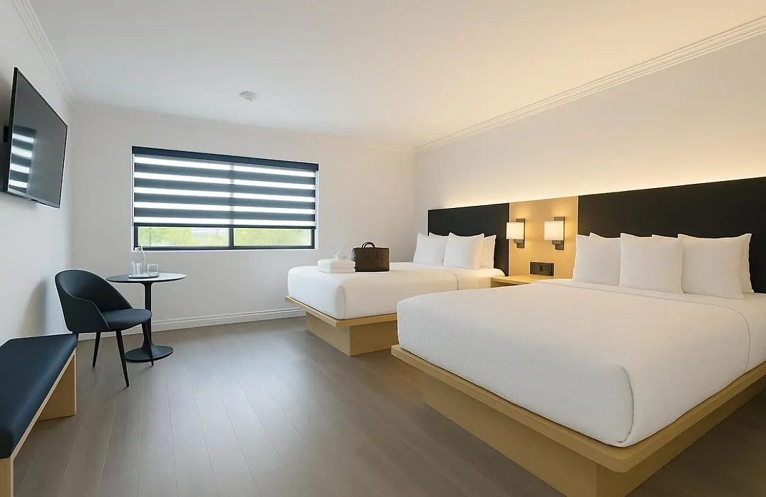 The Live Hotel-1