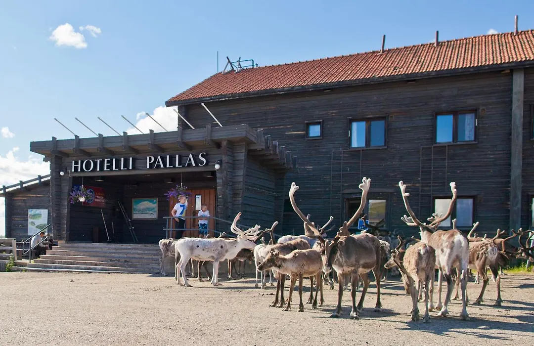 Lapland Hotels Pallas-1