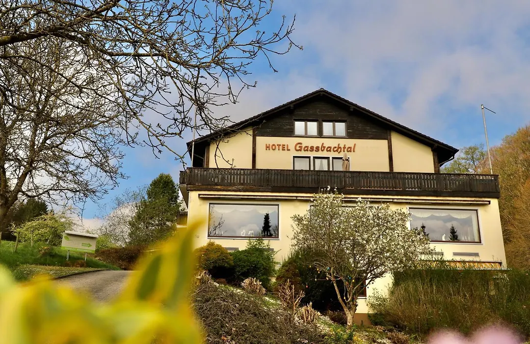 Hotel Gassbachtal-1