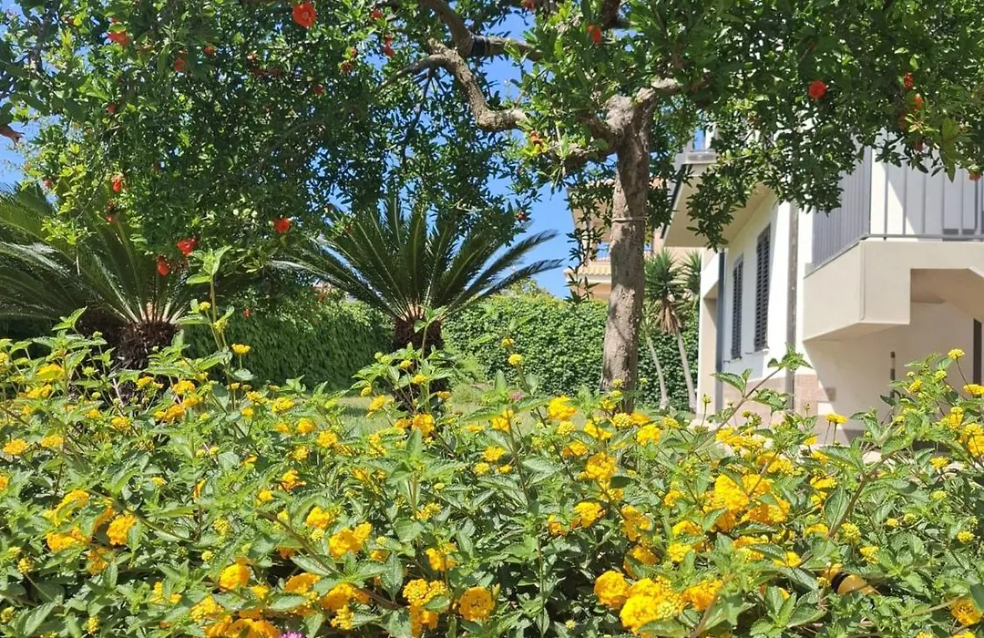 Il Melograno Residence Marzamemi-1