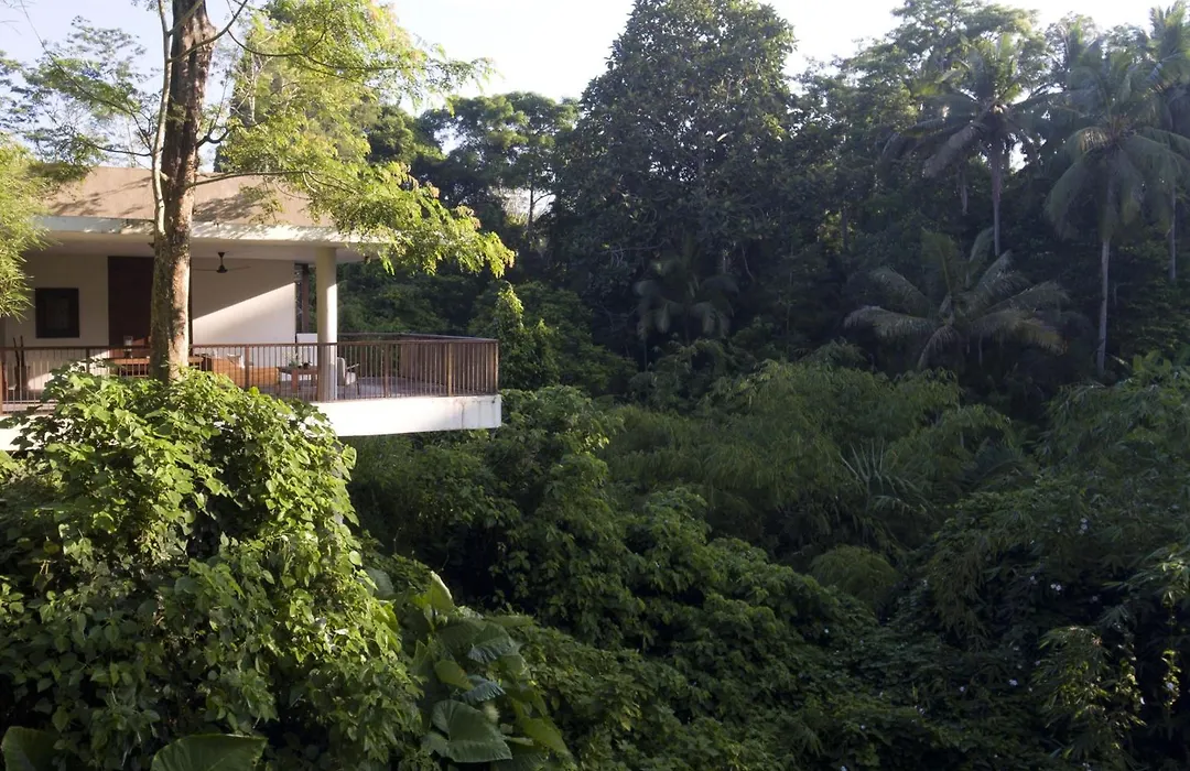Alila Ubud-1
