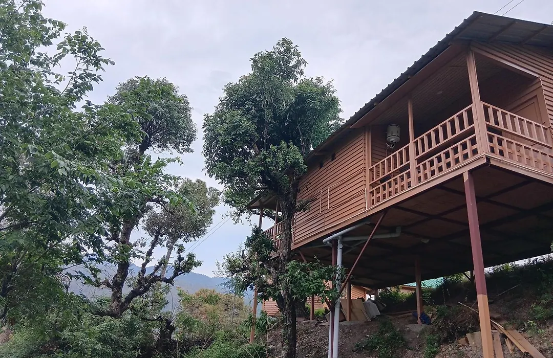 Golden Valley Cottages, Chail-1