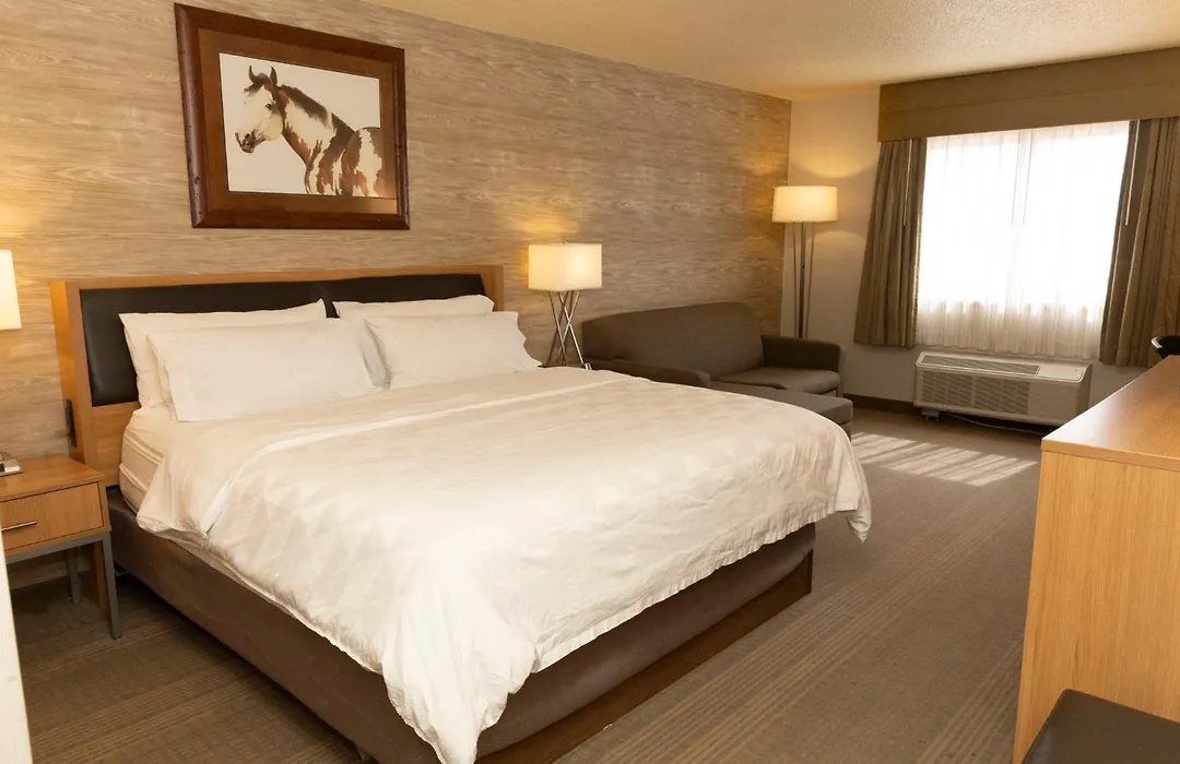 Holiday Inn Spearfish-Convention Center By Ihg-1