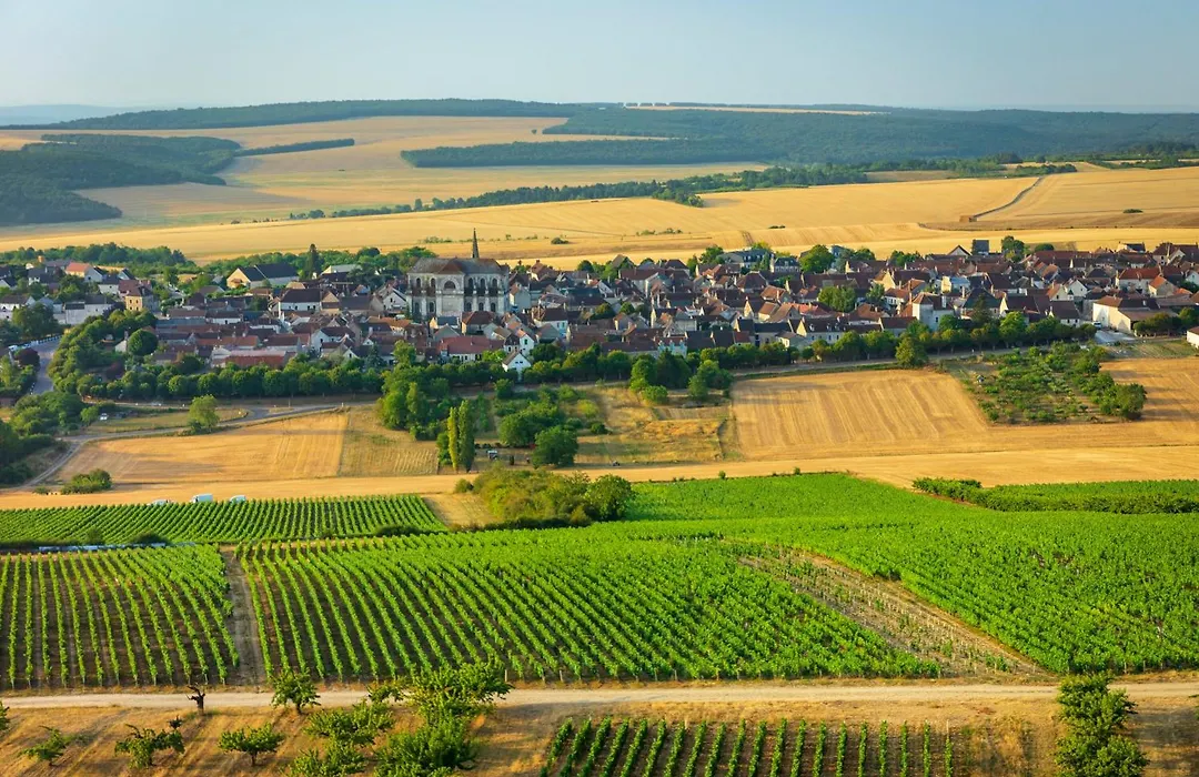 Domaine Borgnat-1