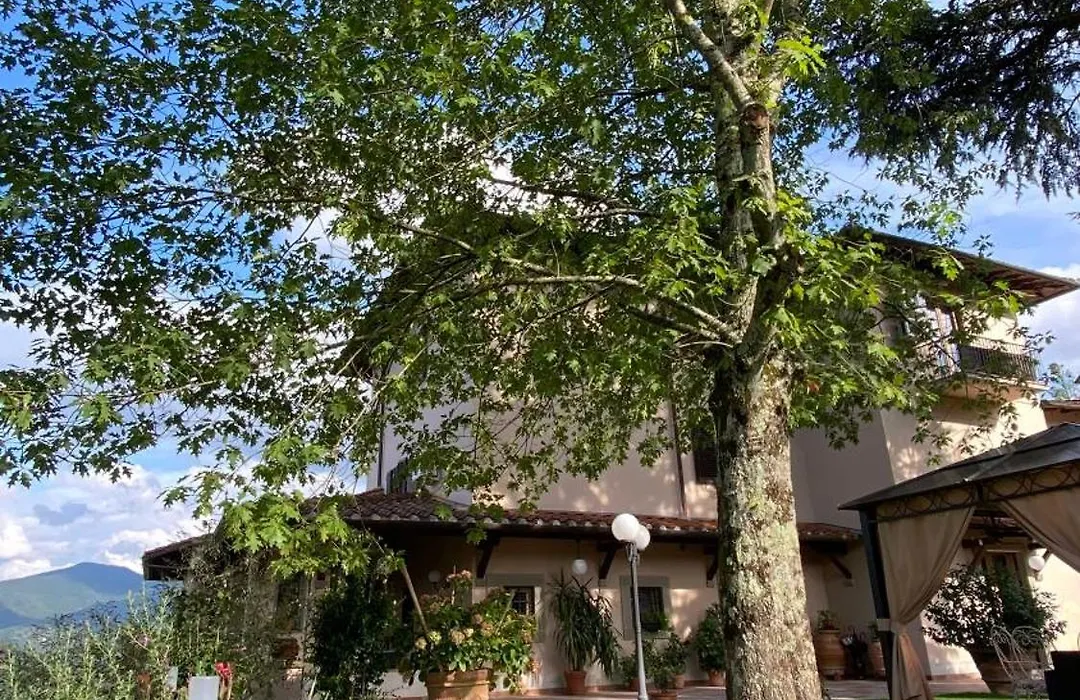 Villa Casavecchia Caselli-1