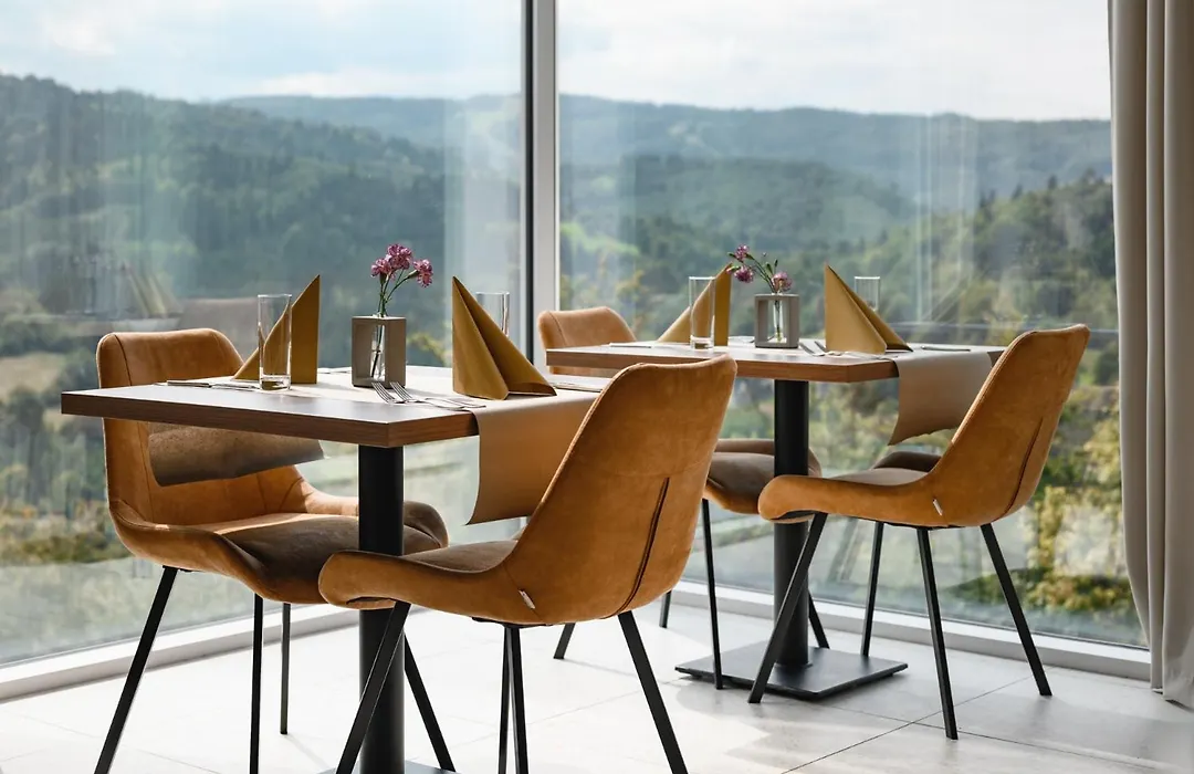 Crystal Mountain Hotel Wisla-1