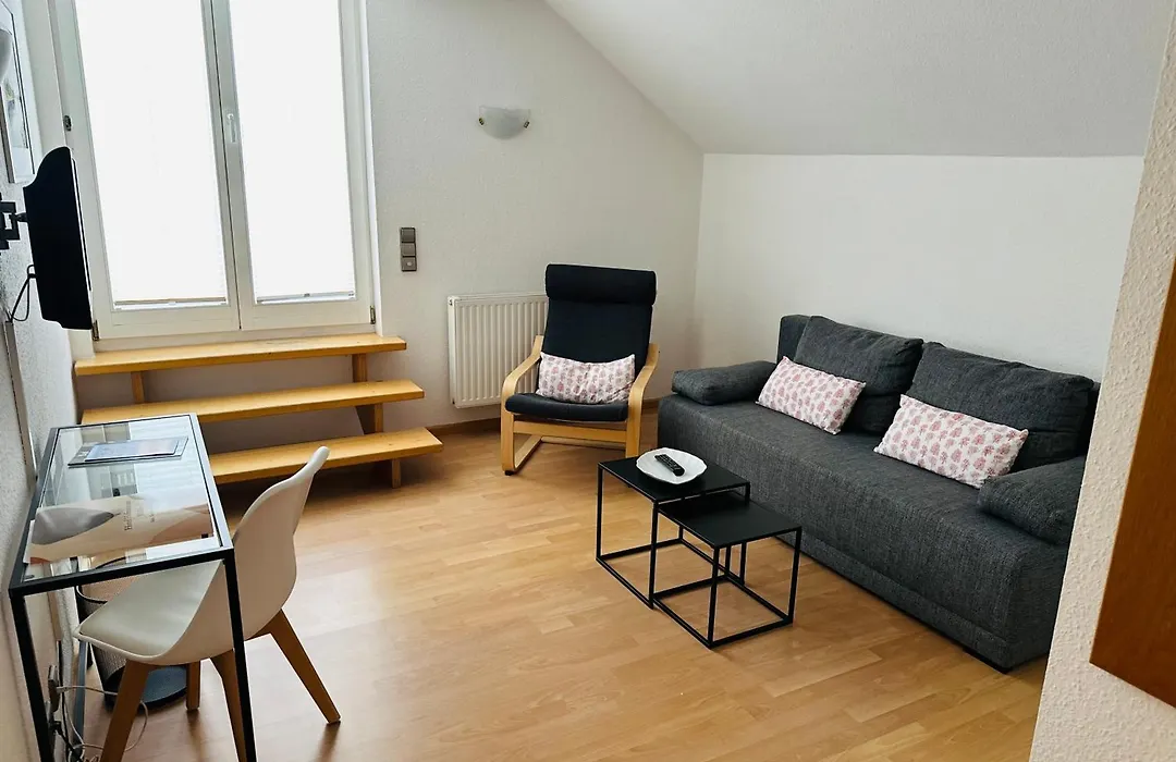 Hotel Hofmann Zur Mühle-1