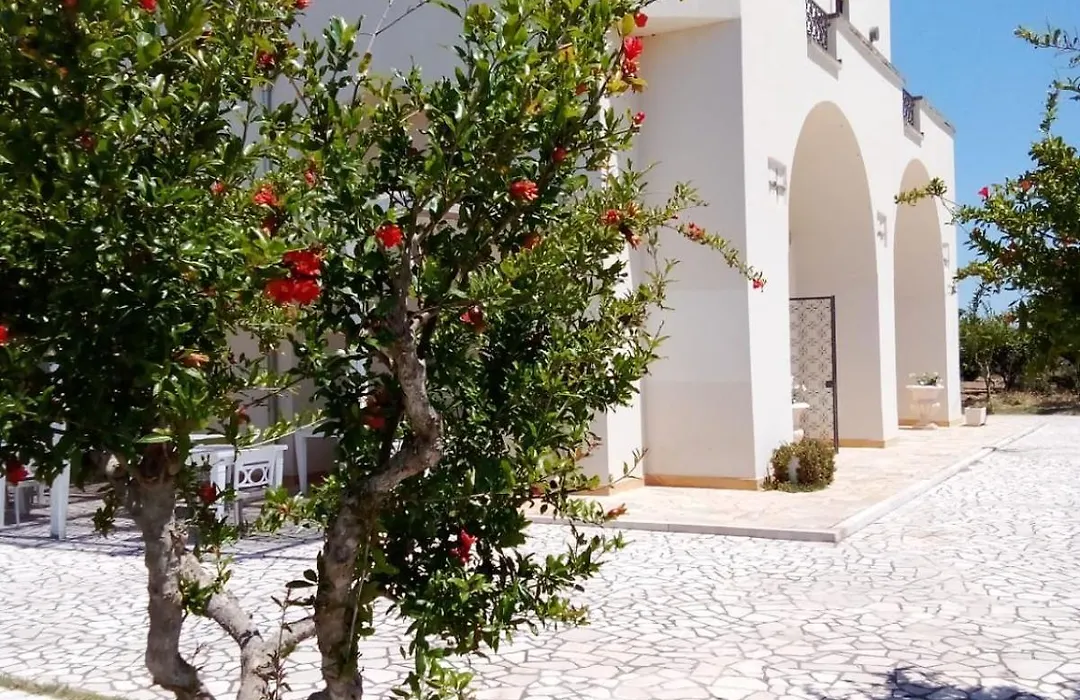 Tenuta Degli Agrumi-1