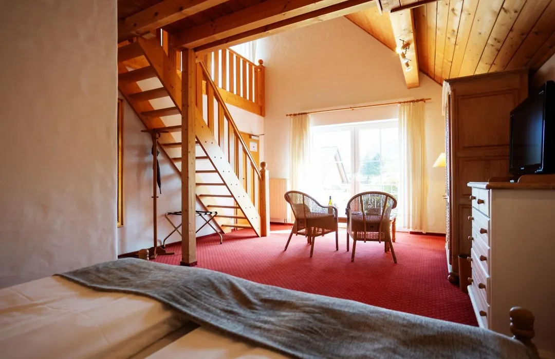 Hotel Antoniushuette-1