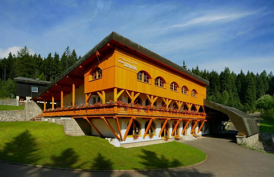 Hotel Lesana-1