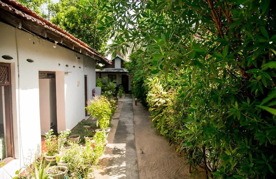 Bay Dreams Beach Hotel & Surf Camp-1