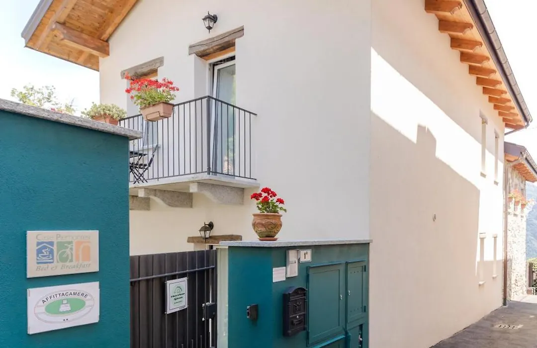 Il riccio di Ricciano-1