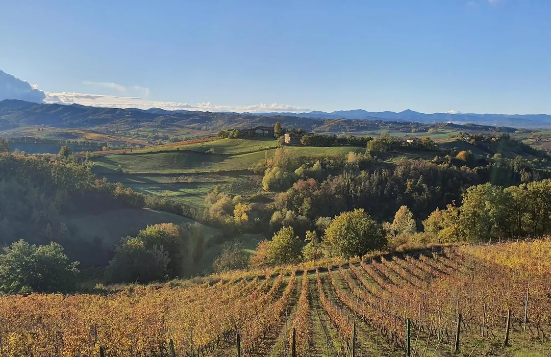 ORIZZONTI Vigneti Repetto-1