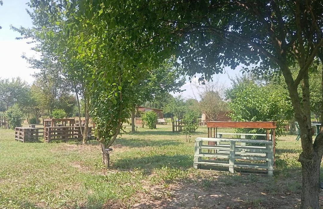 CASCINA LAI - Oasi Naturalistica - Camere private-1