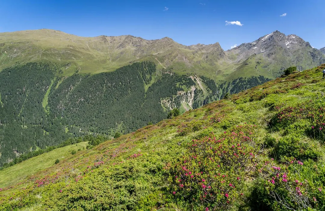 Alpengasthof Praxmar-1