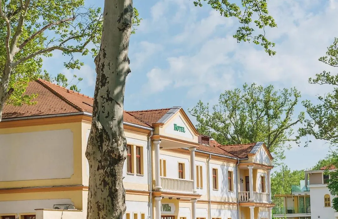 Hotel Anna Villa-1