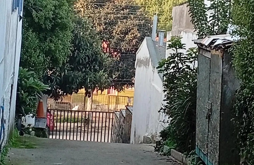 La Maison des Fous-1