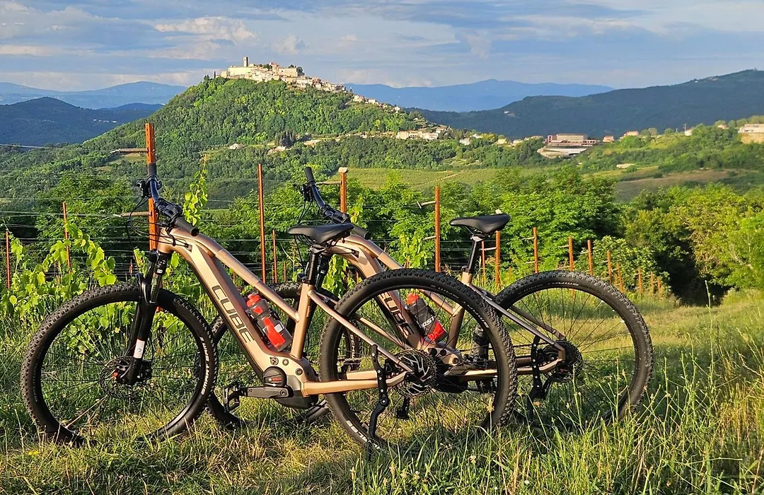 Villa Borgo B&B-1