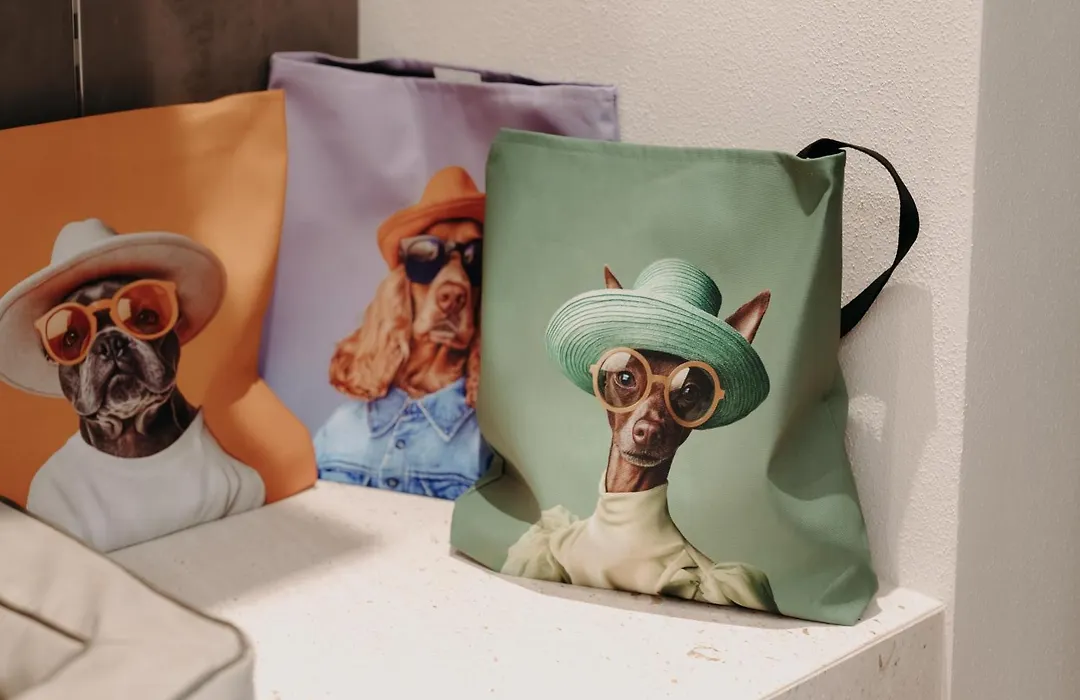 Boutique Hundehotel Bergzeit-1