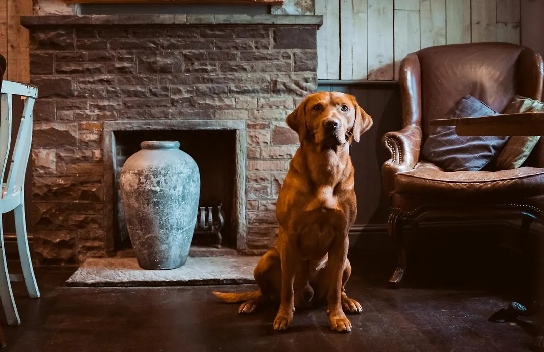 Bulls Head - Holymoorside-1