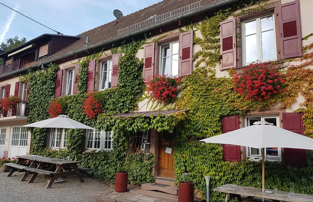 Hotel Du Haut Koenigsbourg- Entre Vignes Et Chateau-1