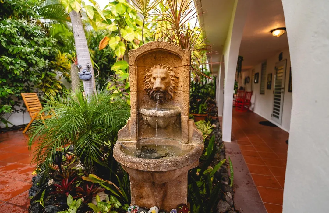 Coconut Palms Rincon-1