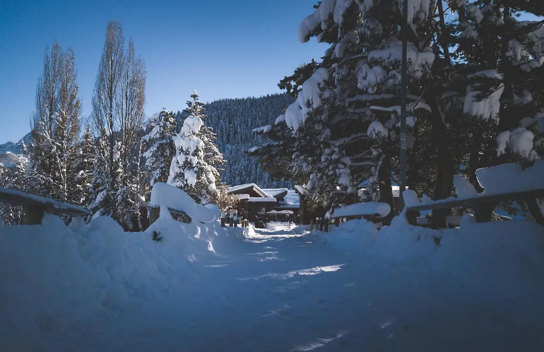 Le Loup Blanc-1