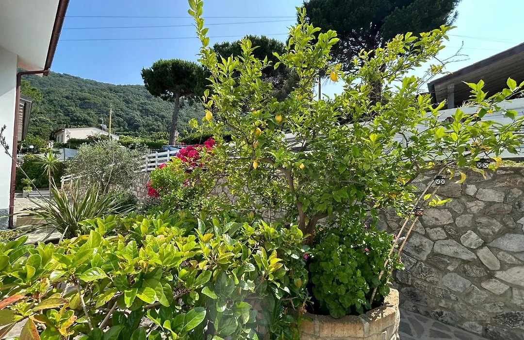 Hotel Sant'Andrea-1