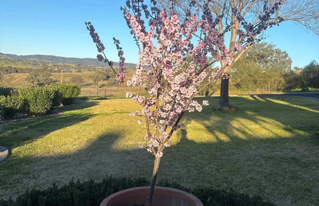 Hermitage Hill Country Retreat-1
