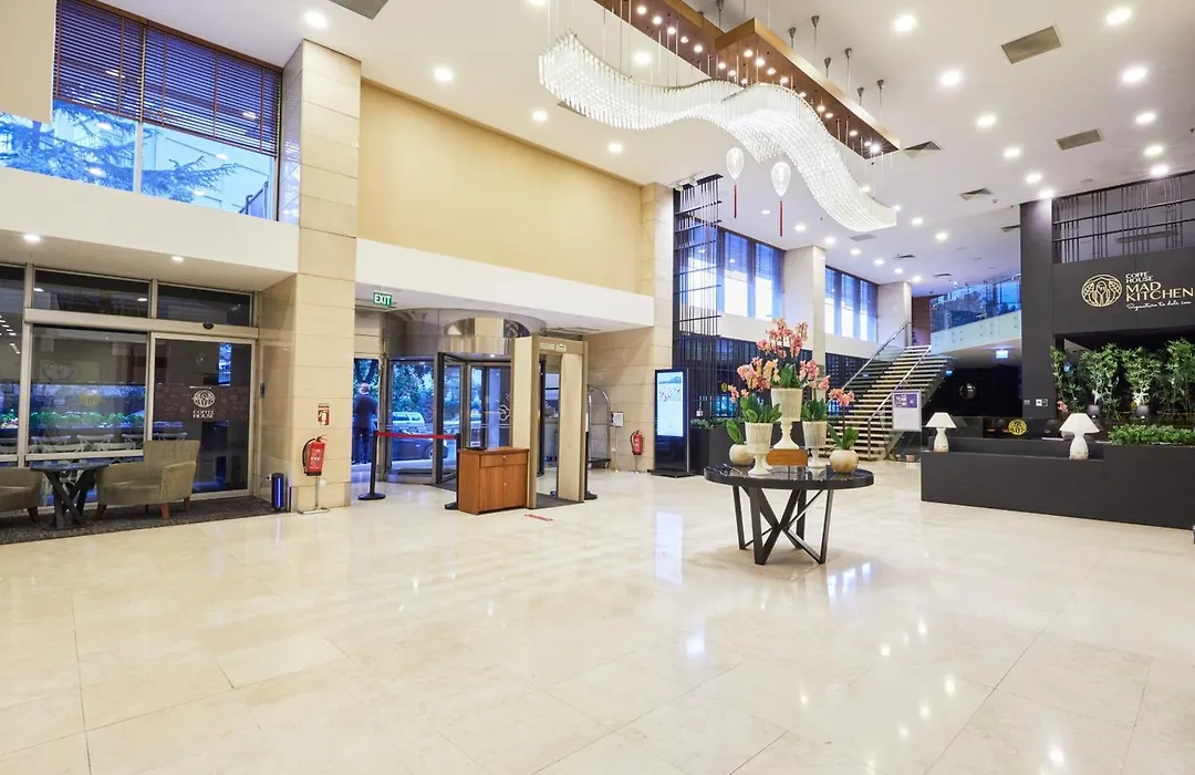 Dedeman Istanbul-1