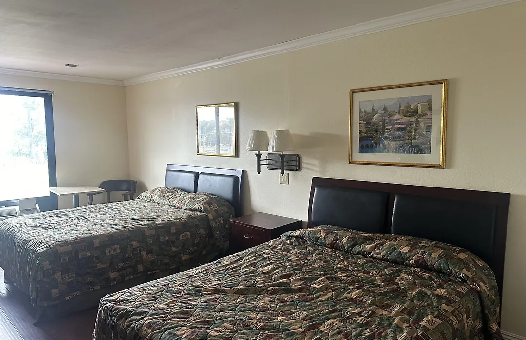 Palm Inn Hotel-1