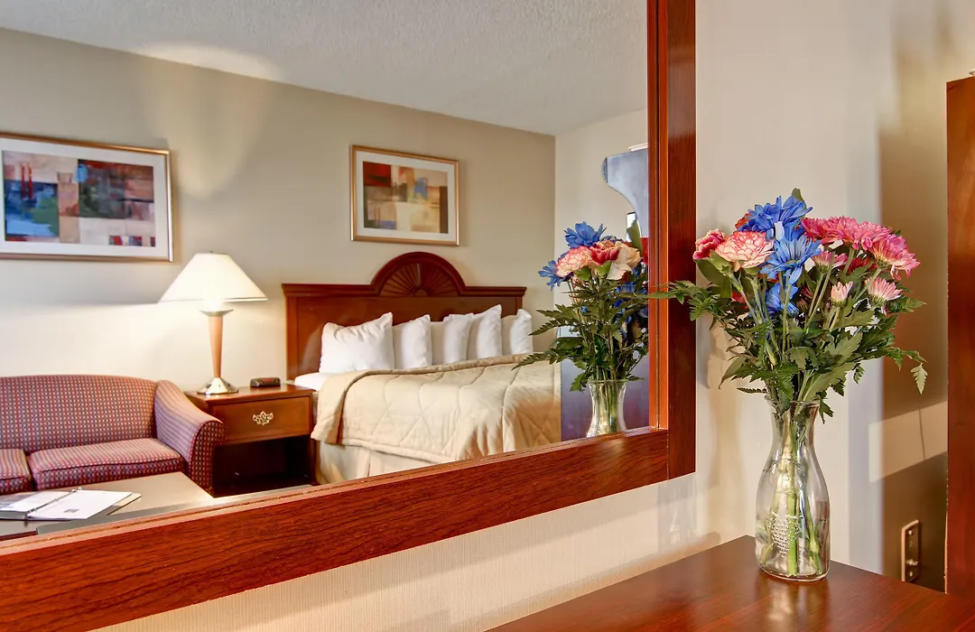 Comfort Inn & Suites-1