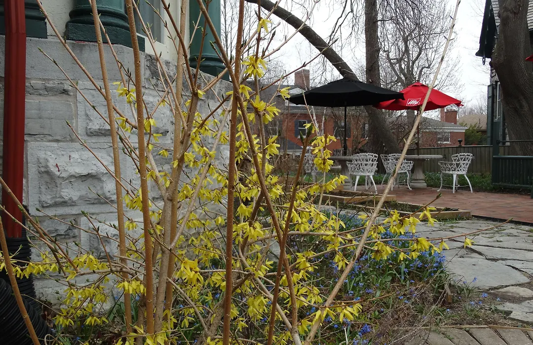 Hochelaga Inn-1
