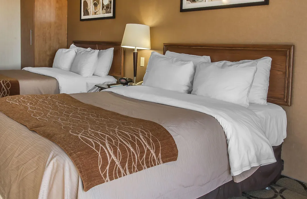 Comfort Inn Airport-1