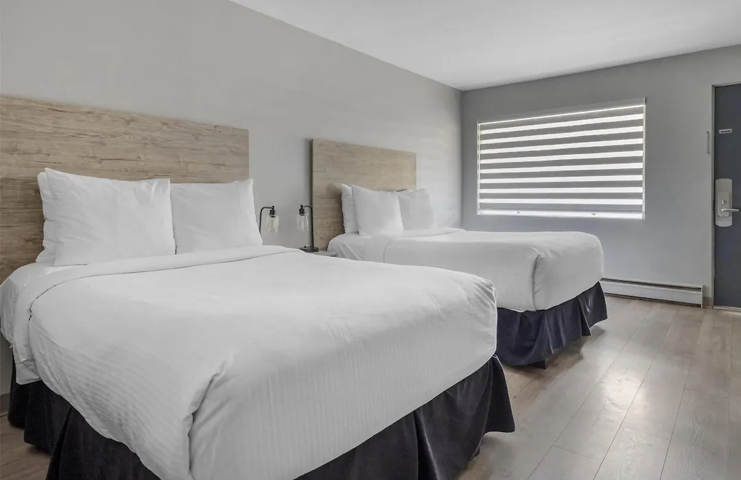 Dannys Suites, Surestay Collection By Best Western-1