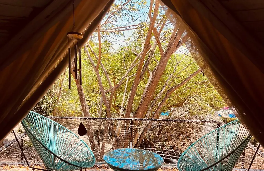 Mangoo Glamping-1